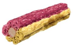 Knash Woofa Loofa Vitality Small Bleuberry/Beetroot 2