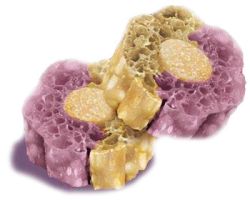 Knash Woofa Loofa Bites Calming Purple Sweet Potato/Chamomile 2