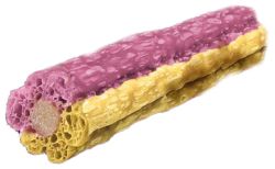 Knash Woofa Loofa Calming Medium Purple Sweet Potato/Chamomile 2