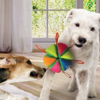Nerf Dog Pluche Bal 6