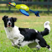 Nerf Dog Werpeend met vleugels 5