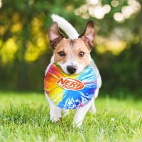 Nerf TPR Color Grip Frisbee 3