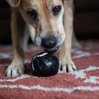 Tonka Mega Tread Bal 3 inch 6