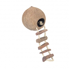 Coconut Globehouse met Ladder