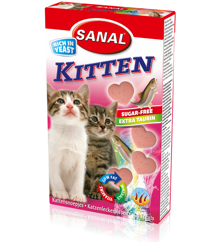 Sanal Kitten