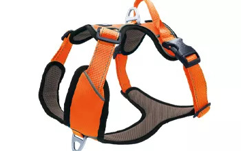 Petlando Outdoor Harnas Hondentuig Oranje