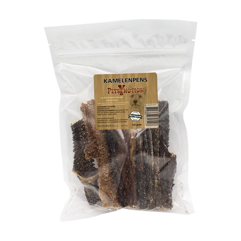 Kamelenpens