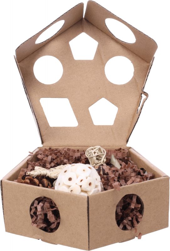 Speelgoed Thumper Bruin